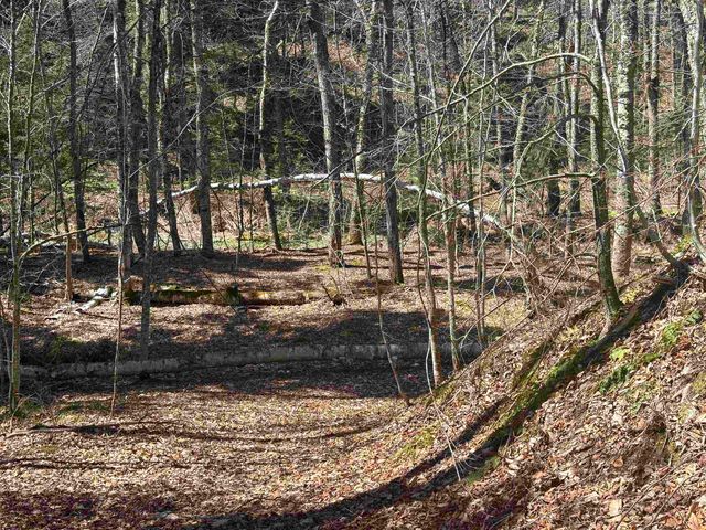 2451 Camp Brook Road, Bethel, VT 05032