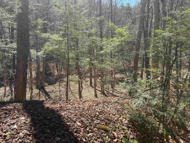 2451 Camp Brook Road, Bethel, VT 05032