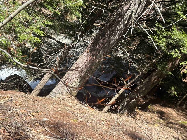 2451 Camp Brook Road, Bethel, VT 05032