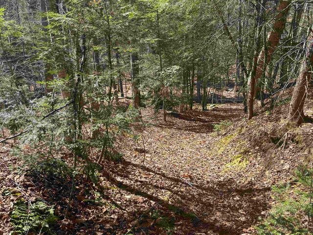 2451 Camp Brook Road, Bethel, VT 05032