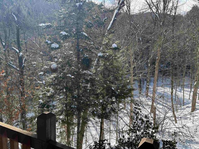 2451 Camp Brook Road, Bethel, VT 05032