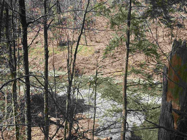 2451 Camp Brook Road, Bethel, VT 05032