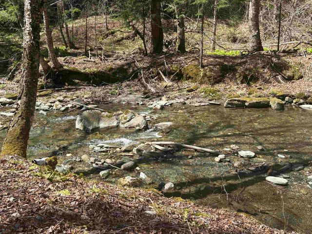 2451 Camp Brook Road, Bethel, VT 05032