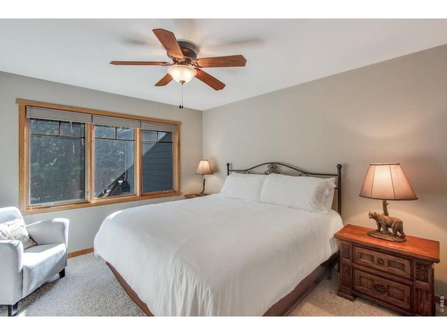 650 Park River Pl, Estes Park, CO 80517
