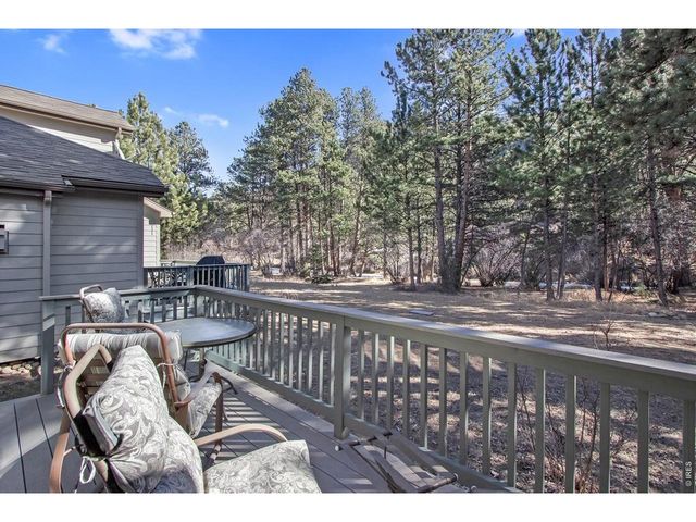 650 Park River Pl, Estes Park, CO 80517
