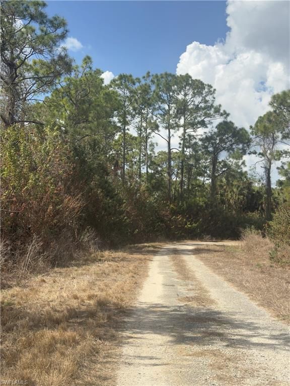 646 Nadeau CT, LEHIGH ACRES, FL 33972 — exterior