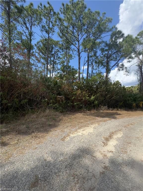 646 Nadeau CT, LEHIGH ACRES, FL 33972 — photo 3