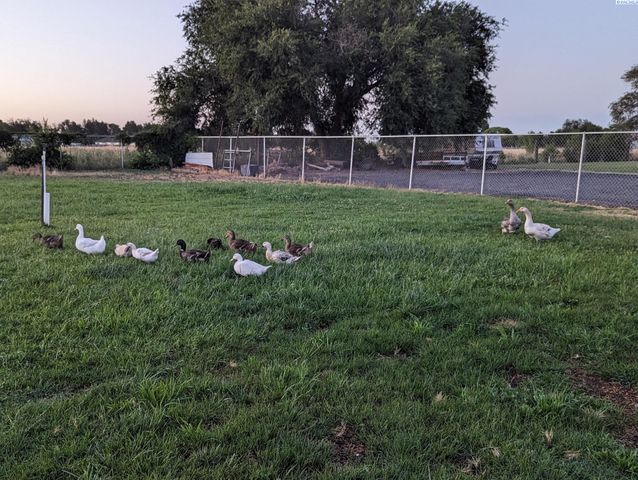 223108 E Perkins Road, Kennewick, WA 99337