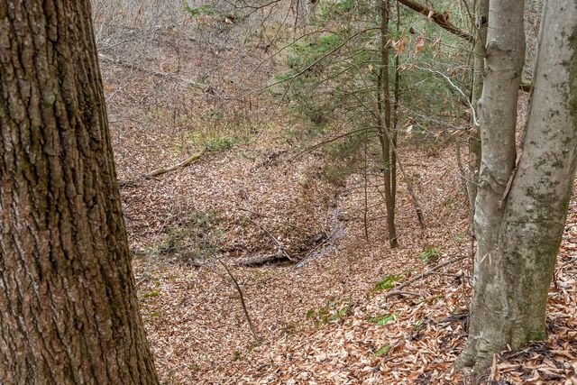 391 Airport RD, Riner, VA 24149