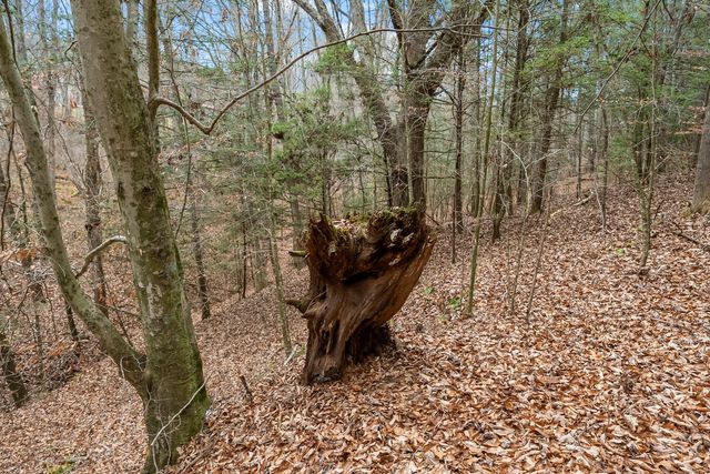 391 Airport RD, Riner, VA 24149