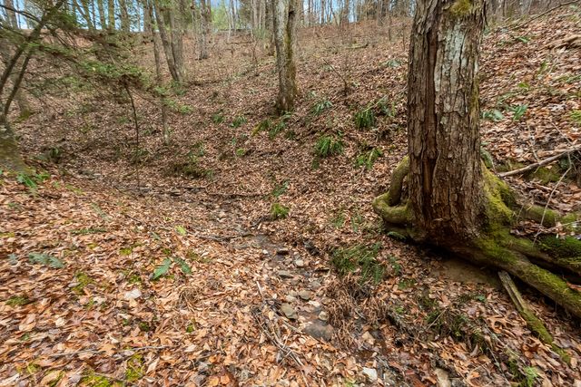 391 Airport RD, Riner, VA 24149