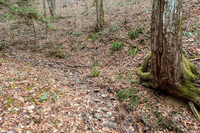 391 Airport RD, Riner, VA 24149