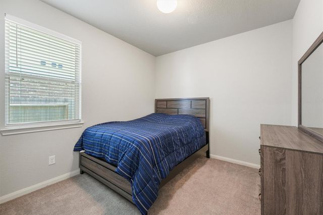 31227 Roos River Drive, Hockley, TX 77447