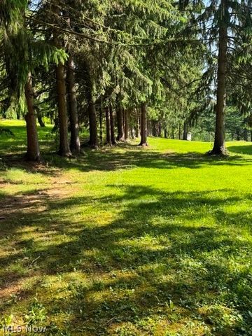 2875 Eldersville Rd., Follansbee, WV 26037