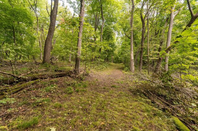Lot 3 407th Street N, Dent, MN 56528