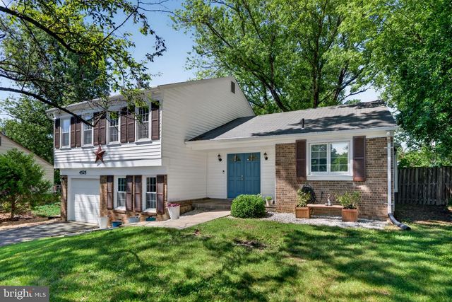 4525 FLINTSTONE RD, Alexandria, VA 22306