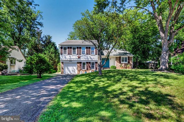 4525 FLINTSTONE RD, Alexandria, VA 22306