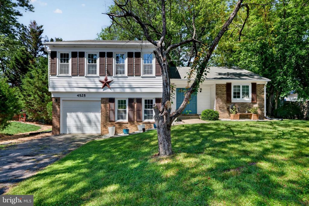 4525 FLINTSTONE RD, Alexandria, VA 22306