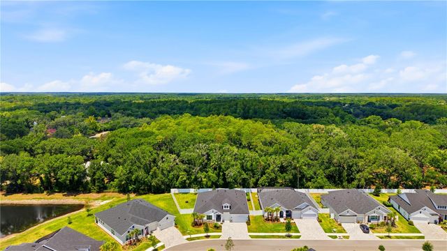 7530 ASHBROOKE PINE LOOP, Odessa, FL 33556