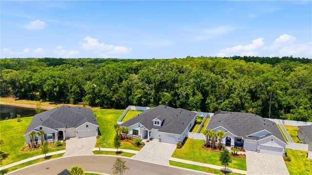 7530 ASHBROOKE PINE LOOP, Odessa, FL 33556