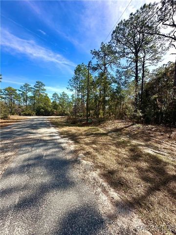 6914 N Heritage Drive, Citrus Springs, FL 34434