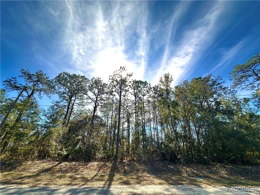 6914 N Heritage Drive, Citrus Springs, FL 34434