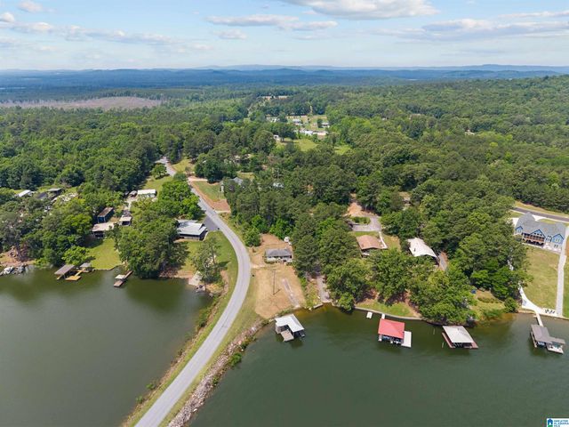 325 TREADWELL ISLAND ROAD, Vincent, AL 35178