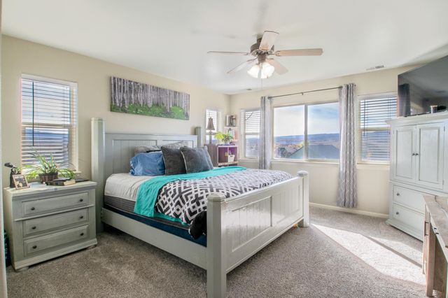 1445 Proctor Court, Whitewater, CO 81527