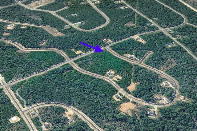 15797 Forest Grove Drive, Willis, TX 77378