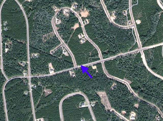 15797 Forest Grove Drive, Willis, TX 77378