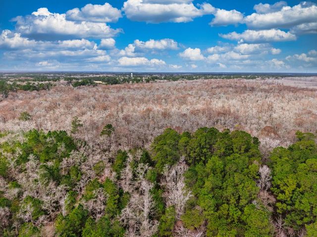 TBD Mishoe Rd., Conway, SC 29527