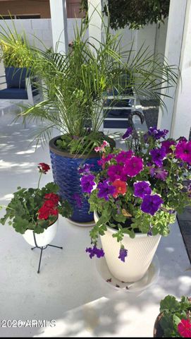 4553 E CAROLINA Drive, Phoenix, AZ 85032