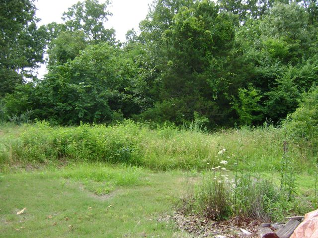 405 Fairway Drive, Horseshoe Bend, AR 72512
