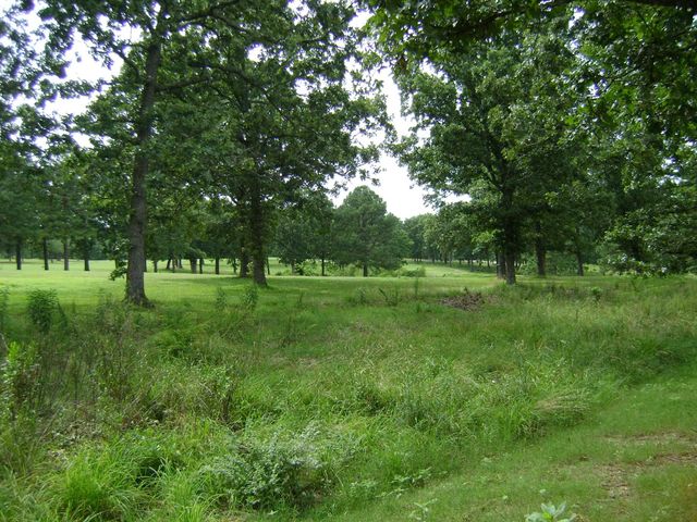 405 Fairway Drive, Horseshoe Bend, AR 72512