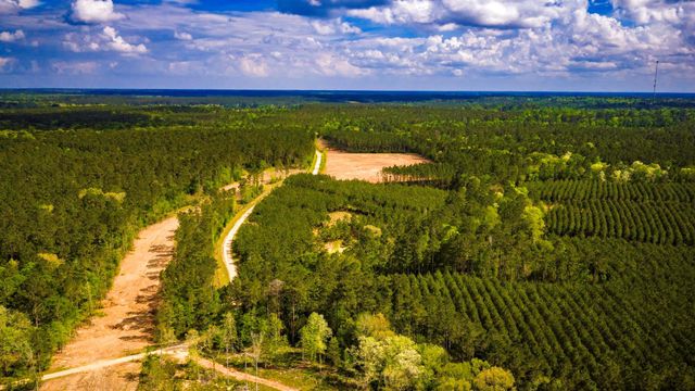 0 Jimbo Nettles Road, Livingston, TX 77351