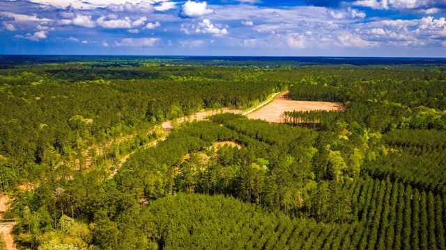 0 Jimbo Nettles Road, Livingston, TX 77351