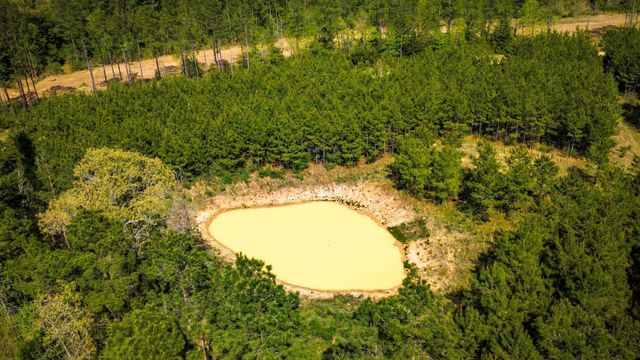 0 Jimbo Nettles Road, Livingston, TX 77351