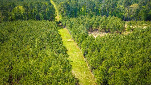 0 Jimbo Nettles Road, Livingston, TX 77351