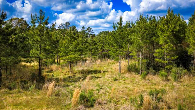 0 Jimbo Nettles Road, Livingston, TX 77351