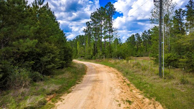 0 Jimbo Nettles Road, Livingston, TX 77351