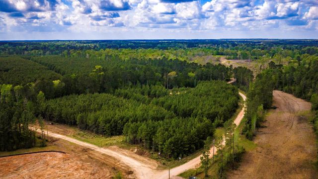 0 Jimbo Nettles Road, Livingston, TX 77351