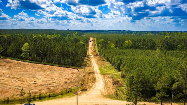 0 Jimbo Nettles Road, Livingston, TX 77351