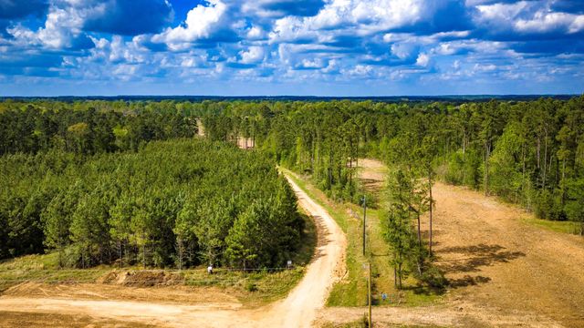 0 Jimbo Nettles Road, Livingston, TX 77351