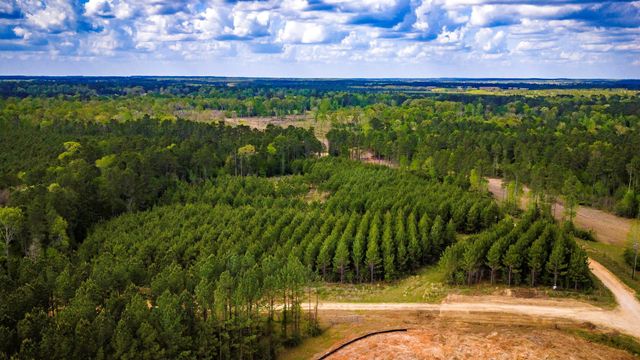 0 Jimbo Nettles Road, Livingston, TX 77351