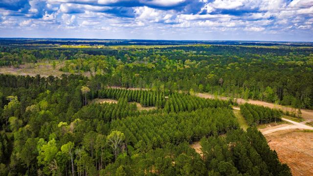 0 Jimbo Nettles Road, Livingston, TX 77351