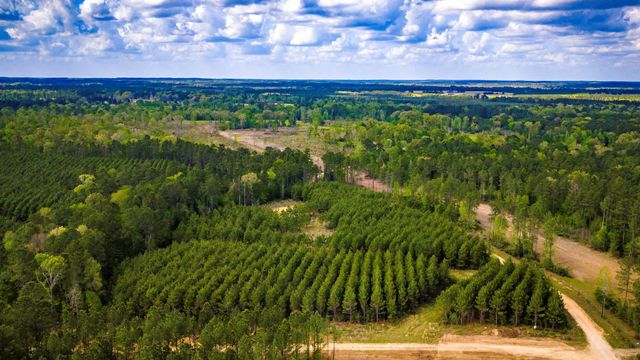 0 Jimbo Nettles Road, Livingston, TX 77351