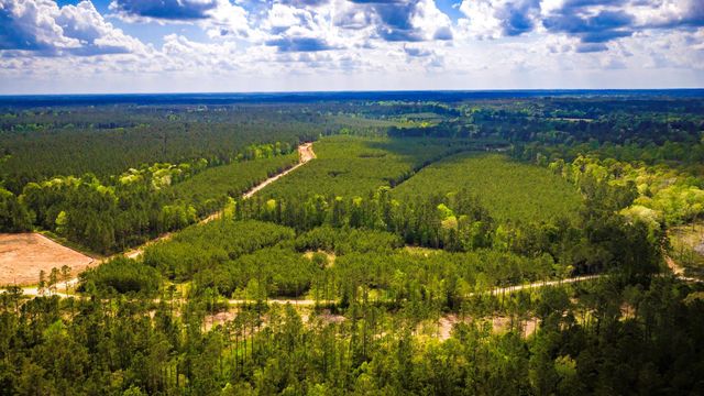 0 Jimbo Nettles Road, Livingston, TX 77351