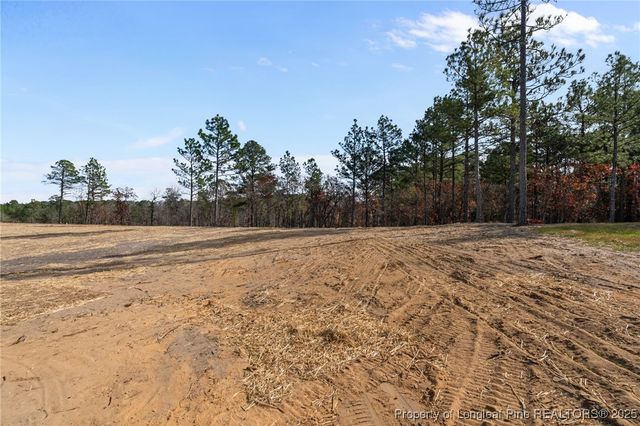 79 Mahogany Court, Cameron, NC 28326