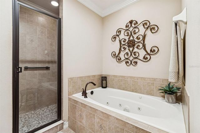 10250 FALLSGROVE STREET, Orlando, FL 32836