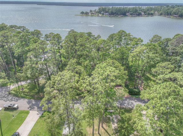 15696 Lakeway Drive, Willis, TX 77318